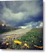 Before The Storm Metal Print