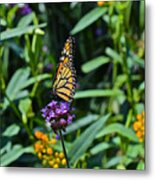 Beginning September Monarch Metal Print