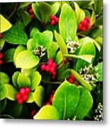 Berries And Blossom Metal Print