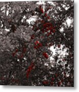 Berry Trees Metal Print