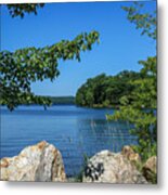 Beside The Pond Metal Print