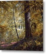 Beyond The Forest Metal Print