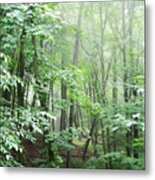 Beyond The Misty Forest Metal Print