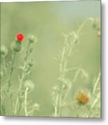 Big Red, Little Red Metal Print