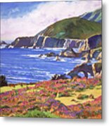 Big Sur Wildflowers - Plein Air Metal Print