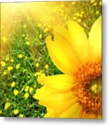 Big Yellow Sunflower Metal Print