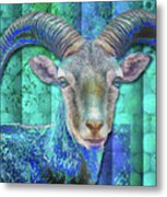 Billy Goat Blue Metal Print