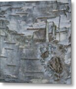 Birch Detail Metal Print