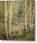Birch Forest Metal Print