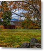 Birch Over The Mountains Metal Print