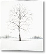 Birch Tree Upon The Winter Plain Metal Print