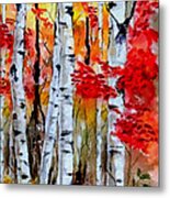 Birch Trees In Fall Metal Print
