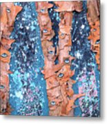 Birch Trees With Eyes Metal Print