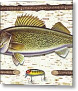 Birch Walleye Metal Print