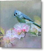 Bird And Blossoms Metal Print