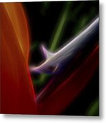 Bird Of Paradise Metal Print