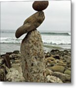 Bird Rock Art Metal Print