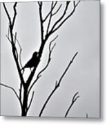 Bird Silhouette Metal Print