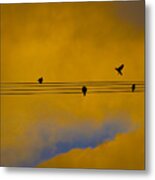 Bird Song Metal Print