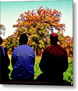 Bird Watchers Bench Fall Crabtree Nature Center Cook County Il Metal Print
