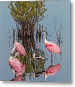 Birds And Mangrove Bush Metal Print