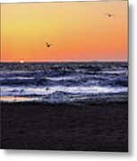 Birds At Sunrise Metal Print