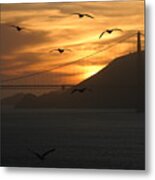 Birds By The Bay Metal Print