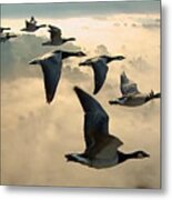 Birds In Flight Metal Print