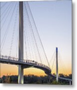 Birds Soaring Over Bob Kerry Bridge Metal Print