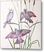 Birds Metal Print