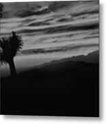 Black And White Joshua Tree Sunset Metal Print