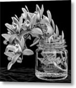 Black And White Orchid Antique Mason Jar Metal Print