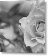 Black And White Rose Metal Print