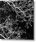 Black And White Tree Art Ii Metal Print