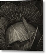 Black Cabbage Metal Print