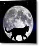 Black Cat And Full Moon 2 Metal Print