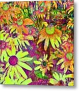 Black-eyed Susan   Abstract Metal Print