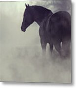 Black Horse In The Dark Mist Metal Print