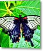 Black Spring Butterfly Metal Print