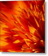 Blaze Metal Print