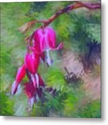 Bleeding Heart Metal Print