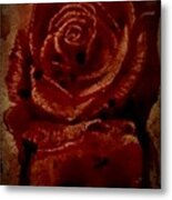 Blood Rose Number 2 Metal Print