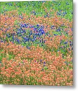 Blue Bonnets And Indian Paintbrush-texas Wildflowers Metal Print