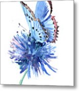 Blue Butterfly And Blue Flower Metal Print
