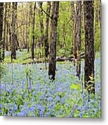 Blue Carpet Metal Print