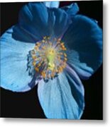 Blue Cross Metal Print