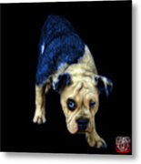 Blue English Bulldog Dog Art - 1368 - Bb Metal Print