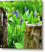 Blue Flowers And Artistic Logs Metal Print