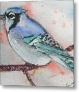 Blue Jay Metal Print