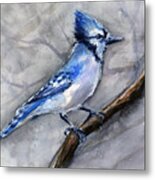 Blue Jay Watercolor Metal Print